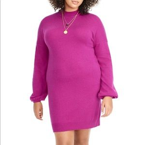 J. Crew Universal Standard Dress